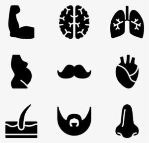 Anatomy - Body Icon #3911479