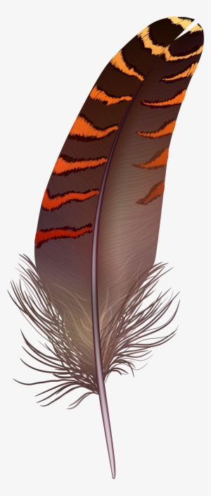 Feather Png Transparent #3911483