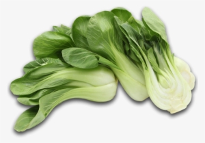 Bok Choi - Bokchoi #3911554