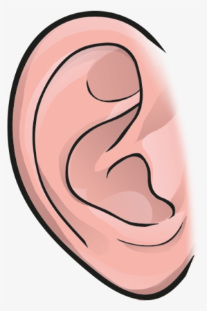 Ear - Illustration #3911902