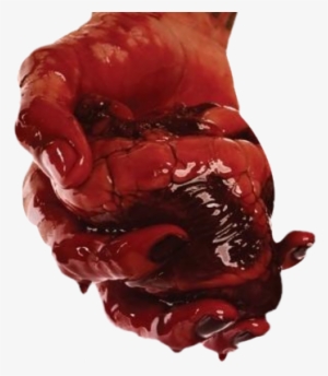 Body-005 - Bleeding Through Album Covers #3911933