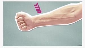 Deutschtrainer 37 Body Parts - Deutsche Welle #3912205