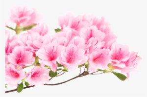 Artificial Flower #3912206