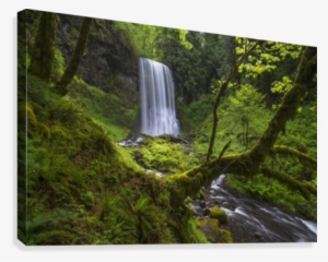 Lower Bridal Veil Falls - Oregon #3912809