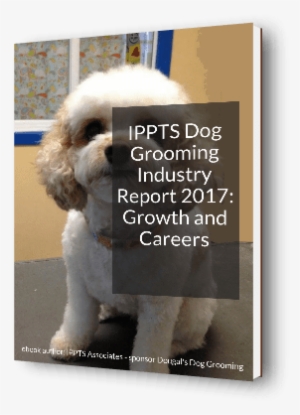3d Cover Image For The Report - Dog Grooming #3913272