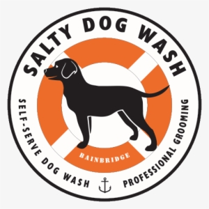 Salty Dog Wash #3913380