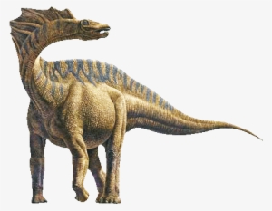 Overall It Was A Dinosaur With A Small Head, Long Neck, - Dinosaur With Long Neck And Long Claws #3914778