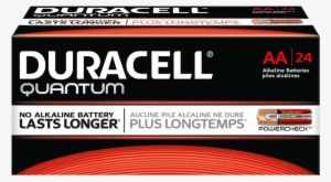 Duracell® Quantum Alkaline Batteries With Powercheck™ - Duracell Quantum China #3914883