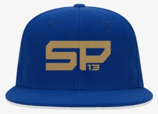 Sp13 Classic Logo Snapback #3914912