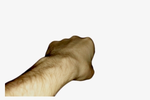 Donald Trump #3915857