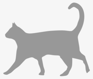 Adult - Pet Care #3916798