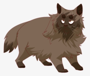 Idgaf If Willowshine Is A Dark Gray Cat This Is How - Dark Gray Cat #3916975