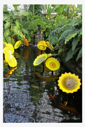 Sunflower #3917920