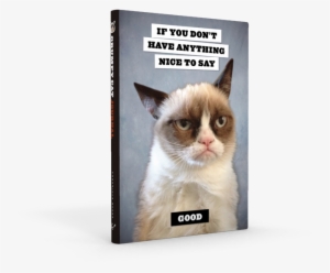 Prev / Next #3918114 Prev / Next #3918114