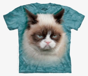 Cutie Pie Kitten, Striped Cat Face, Grumpy Cat - Mountain Grumpy Cat #3918186