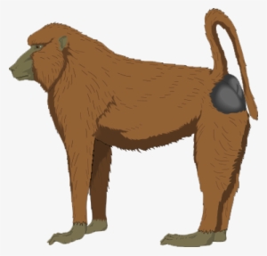Baboon Transparent - Baboon - Baboon Clipart Png #3918671