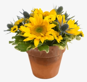 A Sunny Day Bouquet - Flower Bouquet #3918790