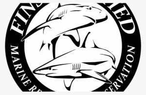 Marine Research Yacht “shark Water” Visits Costa Rica - Belfast #3918817