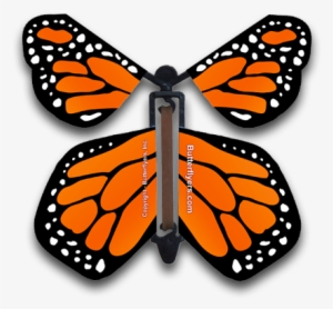 Orange Monarch Wind Up Flying Butterfly - Flying Butterfly Card #3918956