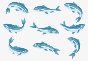 Sardine Icons Vector - Sardine Vector #3919042