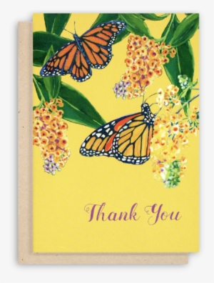 Monarch Butterfly Thank You Card With Yellow Background - Butterfly Card #3919106