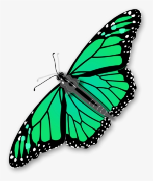 Monarch Butterfly Clipart Three - Butterfly Clipart No Background #3919224