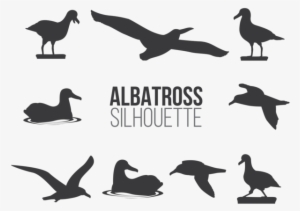 Albatros Sillhaouttes Vector - Euclidean Vector #3919332