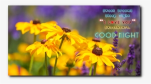 0 - - Quotes Images For Happy Father's Day With Nature #3919983