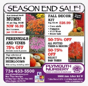 Season - Columbia Angels #3920285