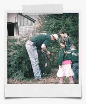 Products And Pricing - Varner Farms #3920417