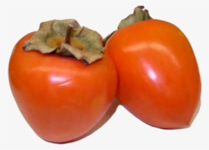 Persimmon Free Download Png - Hinh Anh Qua Hong #3921097