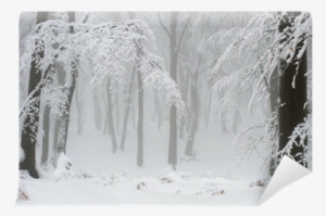 Black Tree Branches And White Snow Wall Mural • Pixers® - Winter #3921146