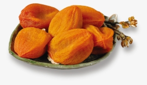 Dried Persimmon #3921244