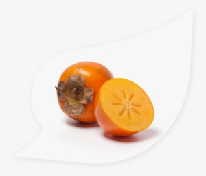 New Zealand Persimmon #3921348
