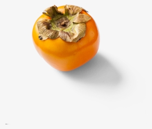 Sharonfruit - Sharon Fruit South Africa #3921541