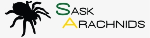 Your Destination For Arachnid Information In Saskatchewan - Spider #3921638