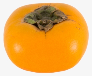 Persimmons - Persimmon #3921640