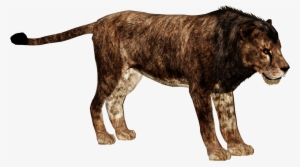 Cave Lion - Zoo Tycoon 2 Cave Lion #3921668