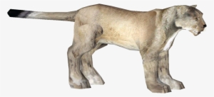 American Lion - Lion Zt2 #3921671