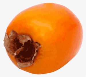 Plum Tomato #3921705