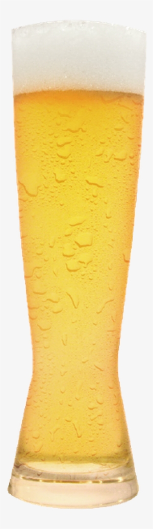 Habituale - Beer Glass #3922041