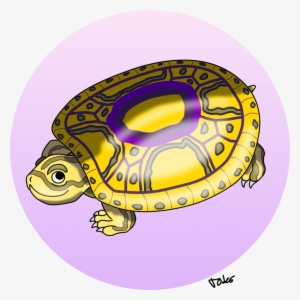 Gsll-turtle - Intersex #3923594