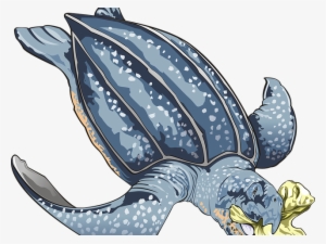 Sea Turtle Clipart Blue - World Environment Day 2018 Beat Plastic Pollution #3923697