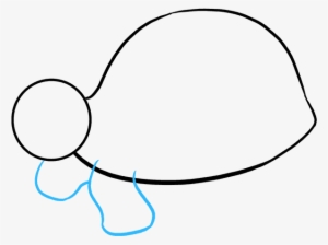 How To Draw Sea Turtle - Drawing #3923938