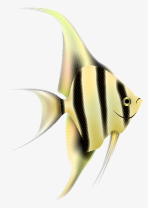 Angelfish Png Clipart - Portable Network Graphics #3924612