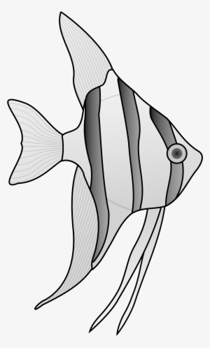 Angelfish Png #3924649