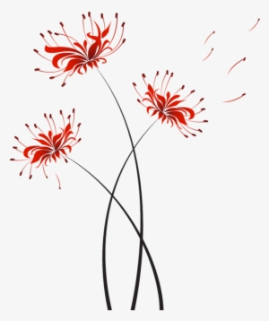 Flower Higanbana Miroslava Hlavacova Transparent - Background Higanbana #3924948