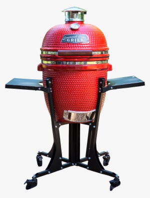 Ggg Deluxe - Gourmet Guru Grill 793-8020-00 Deluxe Grill #3926384