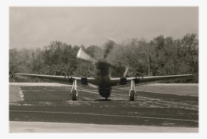 Fighter Aircraft #3926600