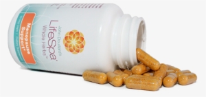 Lifespa - Lifespa Organics Certified Organic Bacopa - Memory #3927283